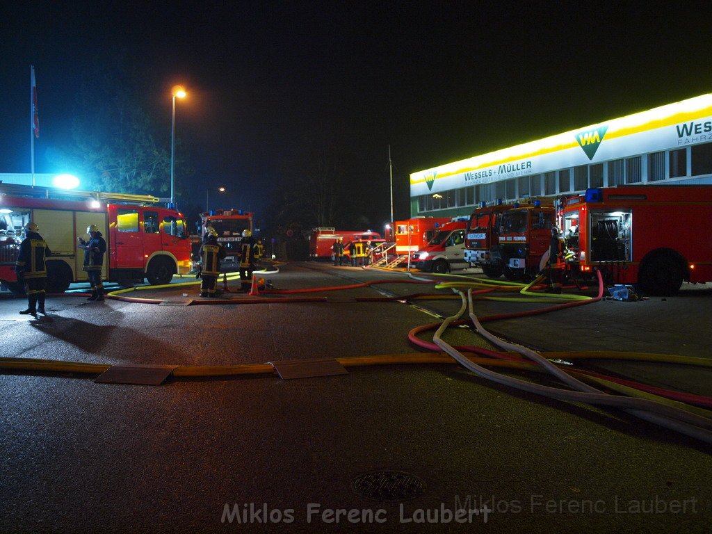 Saureaustritt Koeln Loevenich Daimlerstr P489.JPG